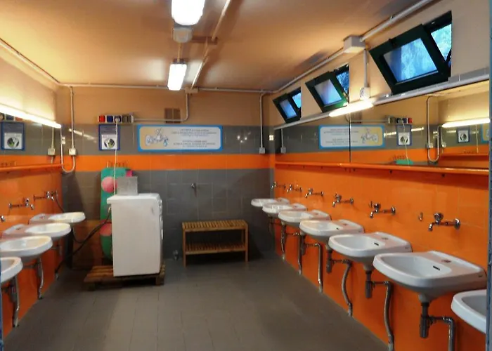 Kamp alanı Principina