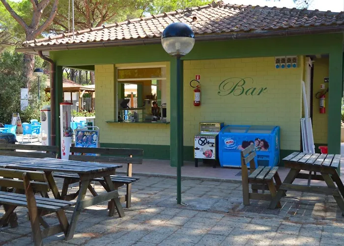 Kamp alanı Principina