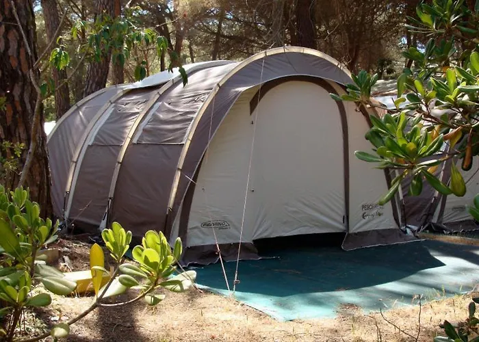 Kamp alanı Principina 2*