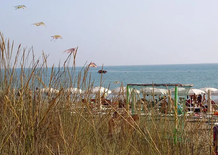 Principina Kamp alanı