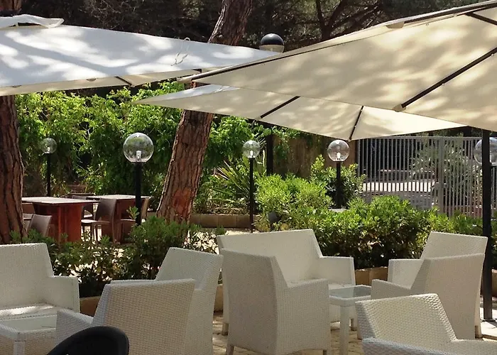 Kamp alanı Principina