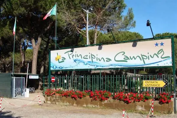 Kamp alanı Principina